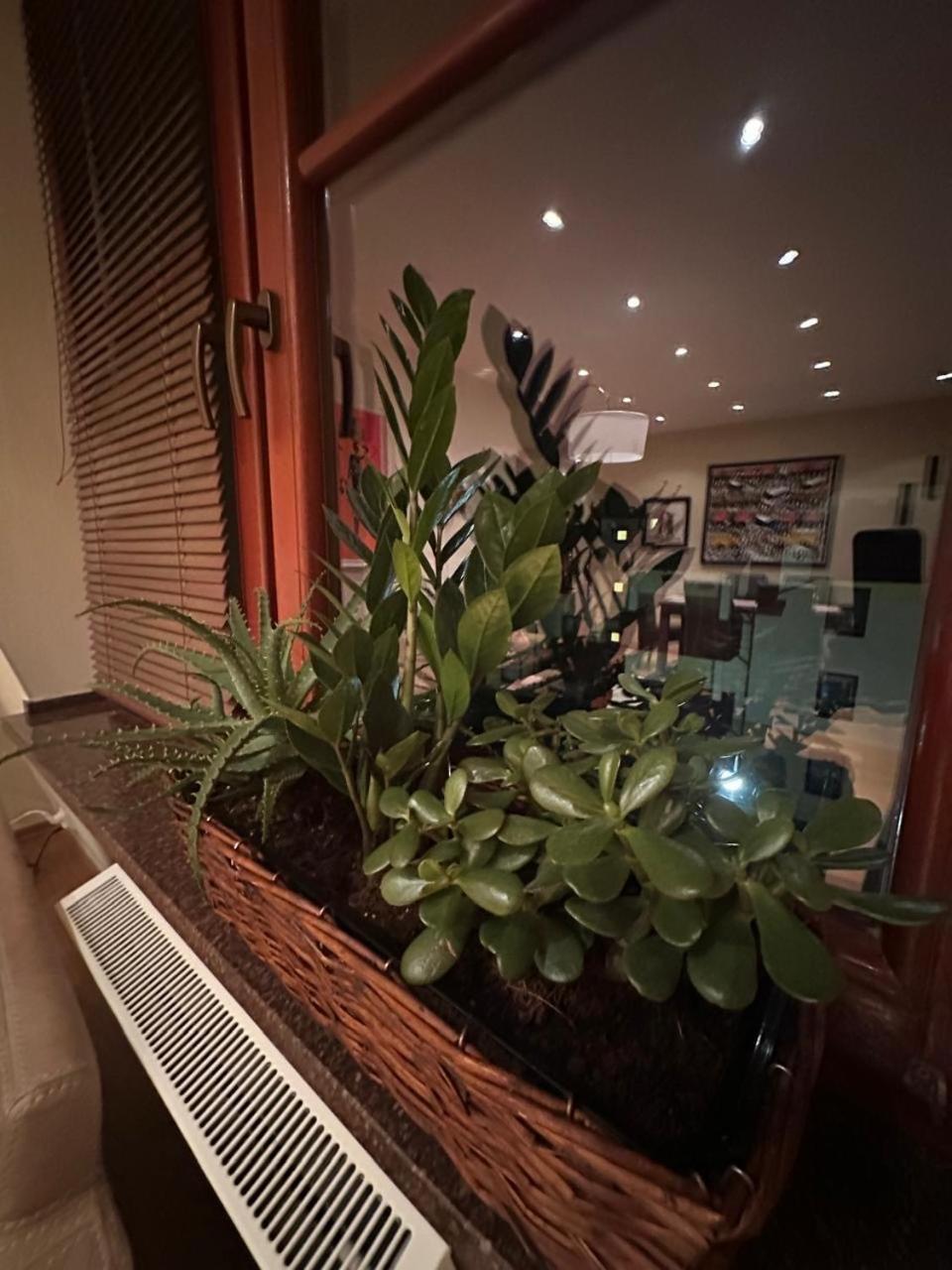 Apartament Josefina Polanica-Zdroj Ngoại thất bức ảnh